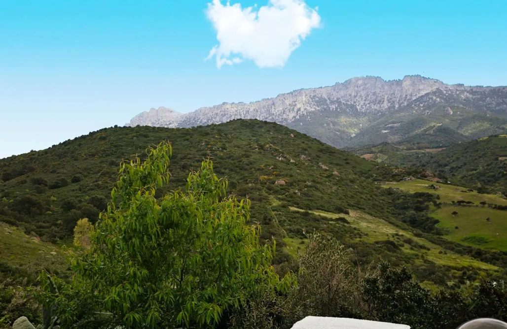 Agriturismo Bari Affittcamere Jannas 3