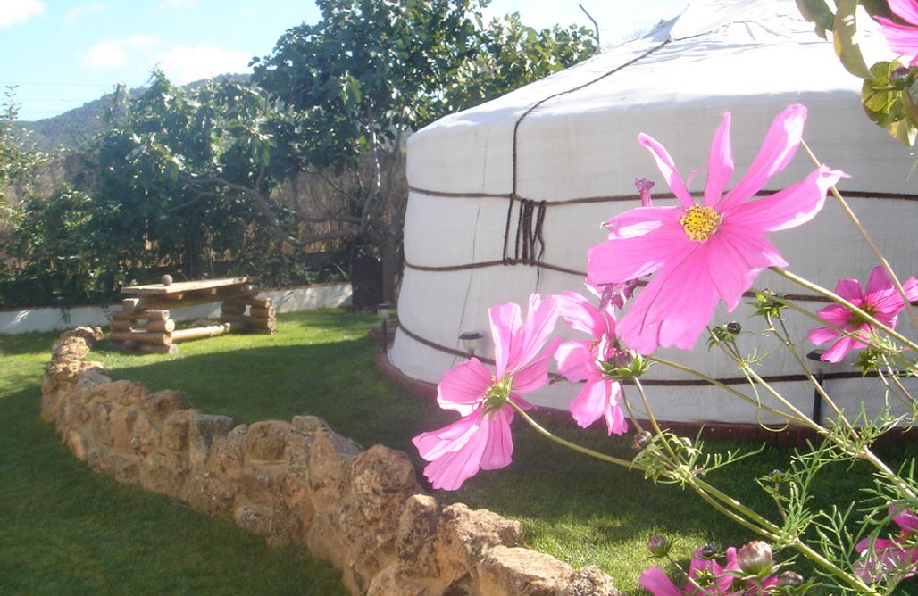 AlohaCamp accommodation The Nomad Xperience - Yurta  2