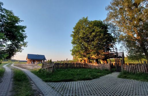 Zdjęcie obiektu Domek na drzewach