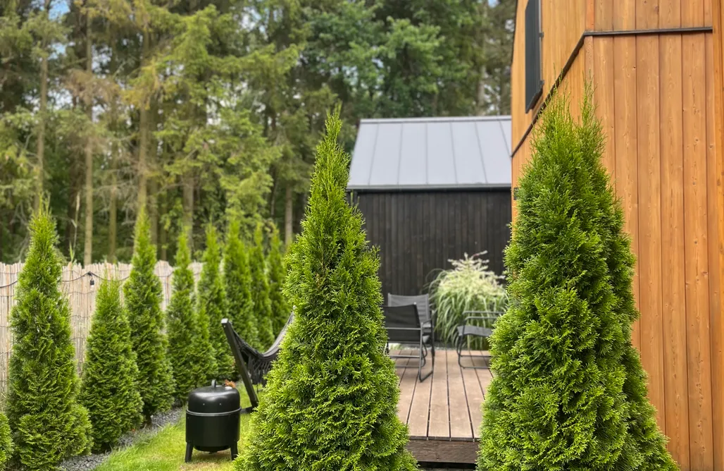 alojamientos AlohaCamp Mikroklimat Komfort 5