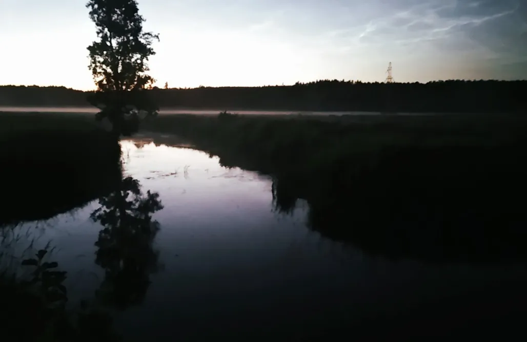 Unterkunft AlohaCamp Miejsce kamperowe i namiotowe - Mokosz 5