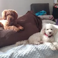 Agnieszka użytkownik