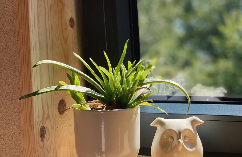 Leśna Domki Siedlisko Zagajnik 1