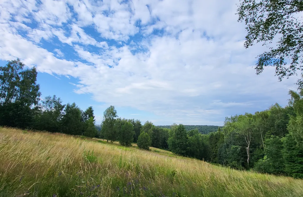 Wiewiórkowo Premium Hideaway | Dom w dzikim lesie, Gorąca Balia & Kino AlohaCamp