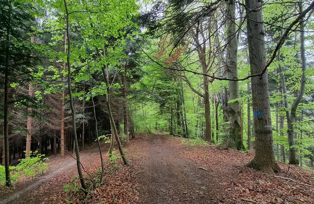 Hébergement AlohaCamp Maison d'Hôtes Notre Montagne 1