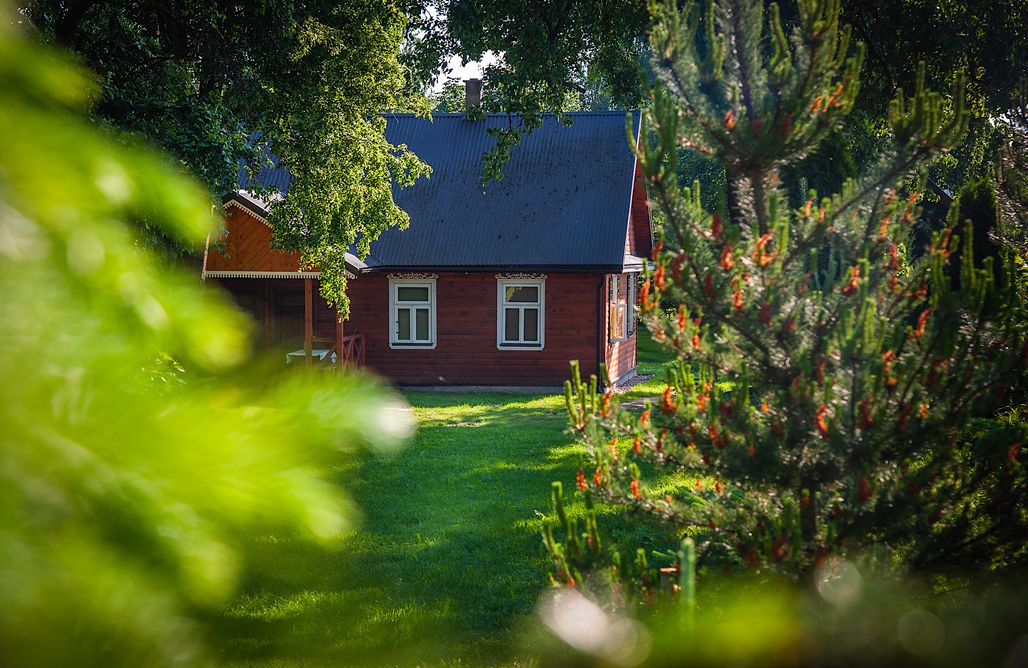 Fajne Wczasy piękna przytulna CHATA KNYSZEWICZE, żubry i natura 3