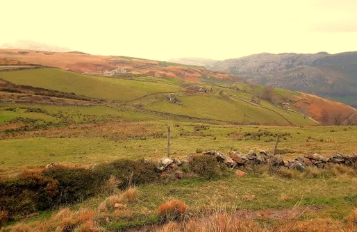 Imagen de Cabañas con Encanto - Casucho