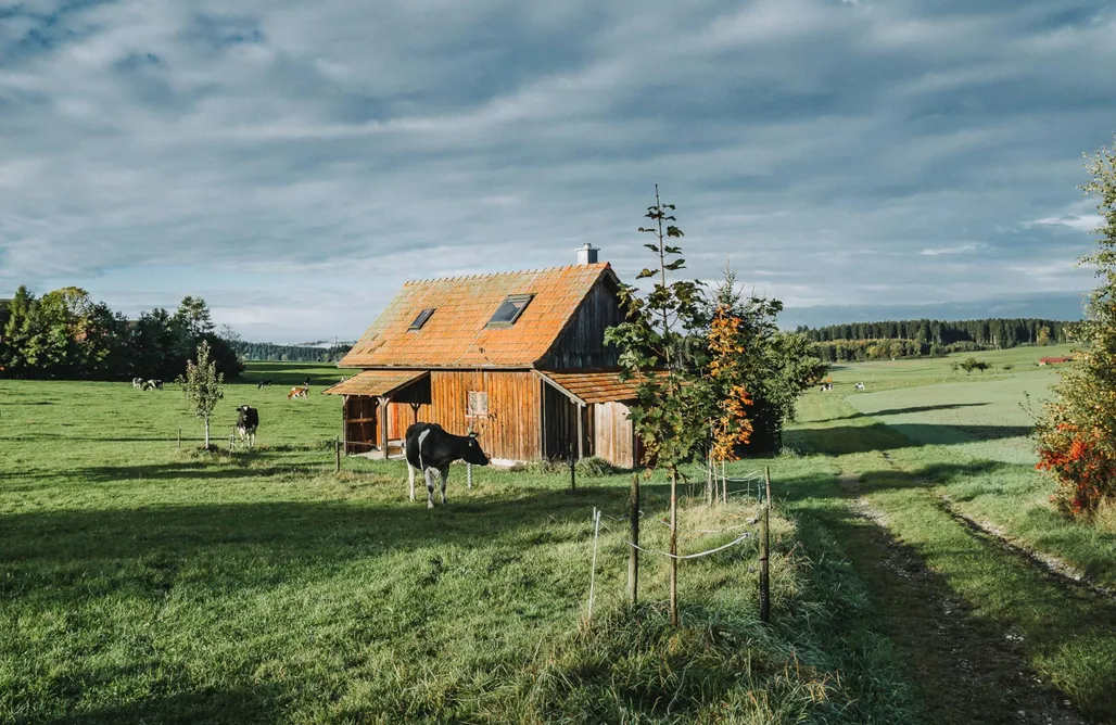 Nuit Insolite Provence-Alpes-Côte d’Azur Pavillon d'amour 1