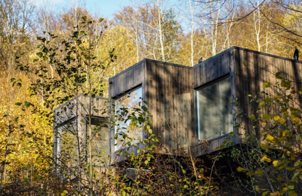 Tiny house podkarpacie Forrest Space - nowoczesny dom w środku lasu 1