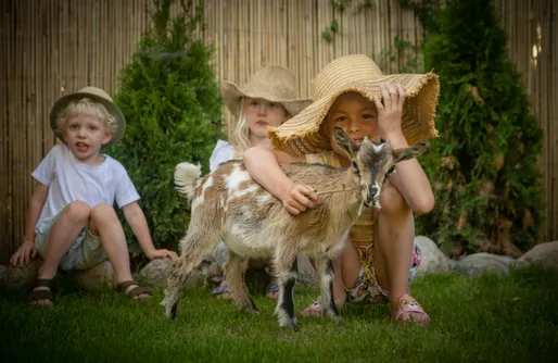 Zdjęcie obiektu Agroturystyka Alpaka Pomorze