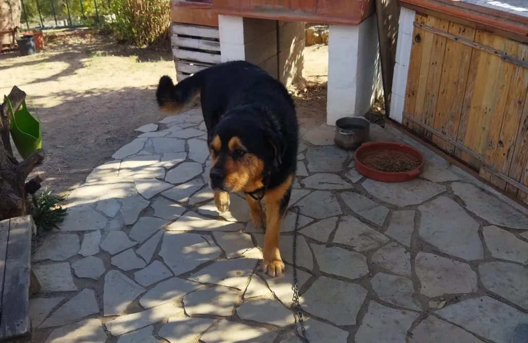 Unterkunft AlohaCamp Sitio para autocaravanas: vistas al Mediterraneo 1