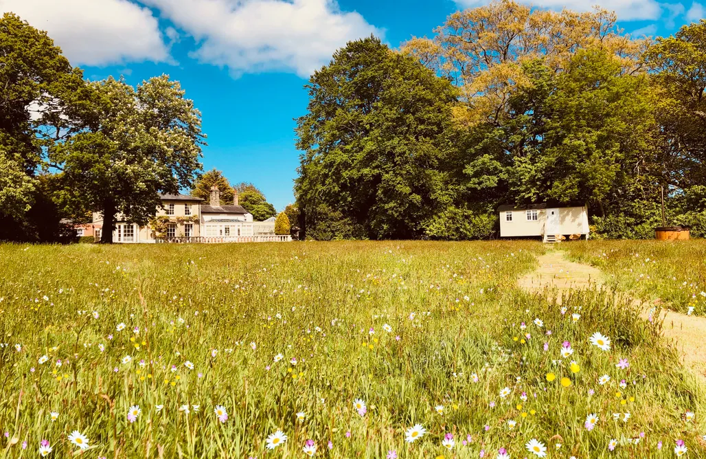 The Hideaway Hut & Hot Tub AlohaCamp