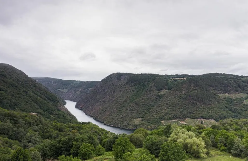 noclegi AlohaCamp Cabañas Alcobas de Sil 1