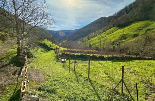 Imagen de La Cabaña de Los Rios