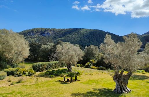 Imagen de Sa Tafona de Son Quint