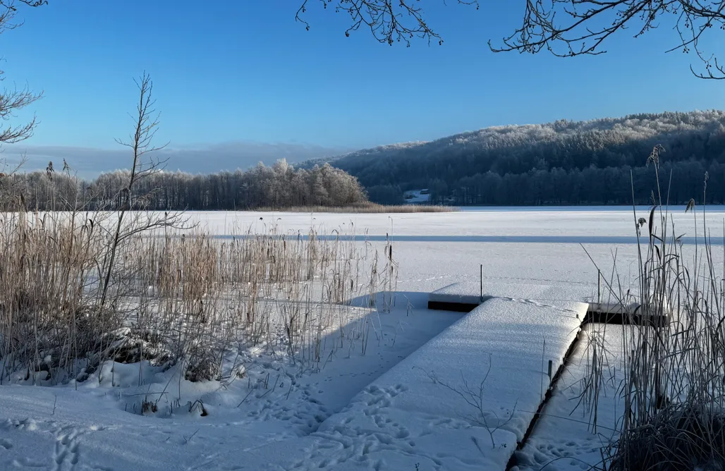noclegi AlohaCamp Siedlisko Modrej Czapli 1