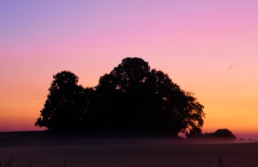 Zdjęcie obiektu Miejsce kamperowe - Pilwa 17 - Glamping na Mazurach
