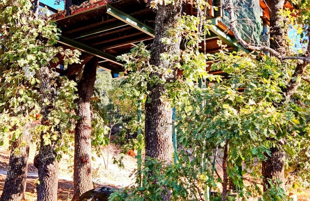 alojamientos AlohaCamp Cabaña Brisa 3