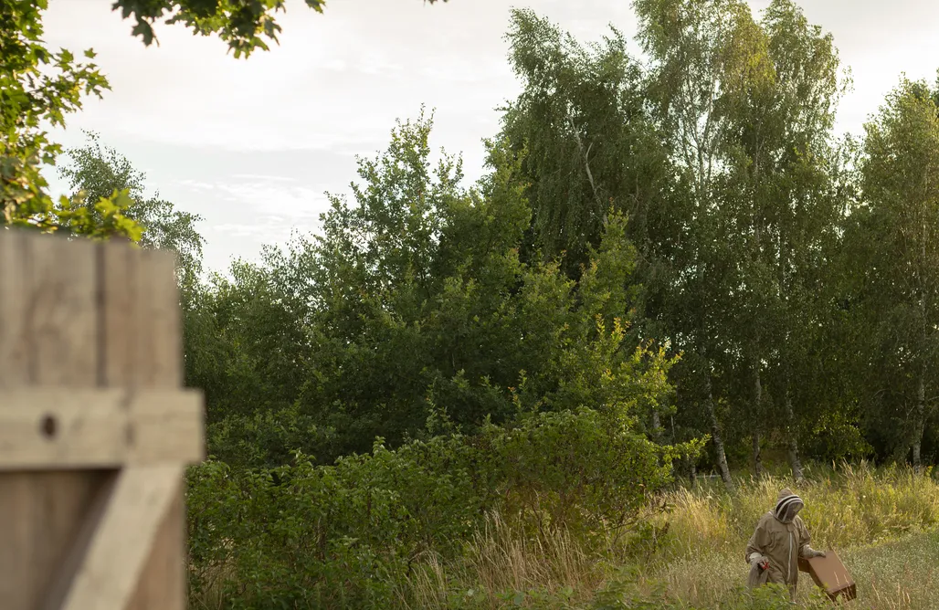 noclegi AlohaCamp Tilia Authentic Home 1