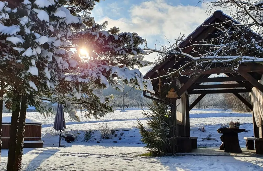 AlohaCamp accommodation Dom Pod Lasem 44 1