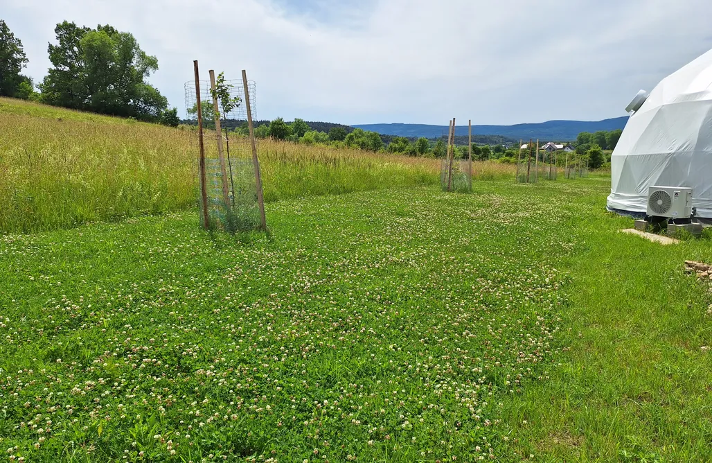 AlohaCamp accommodation Glamping - Na Polanie Smaczne Spanie 1