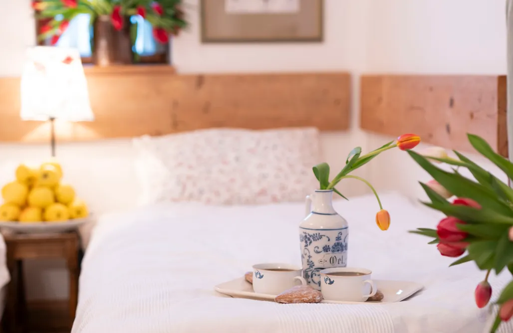 AlohaCamp Dom Geologa 2