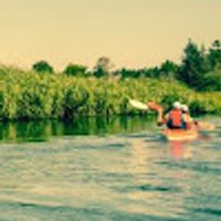 Katarzyna użytkownik