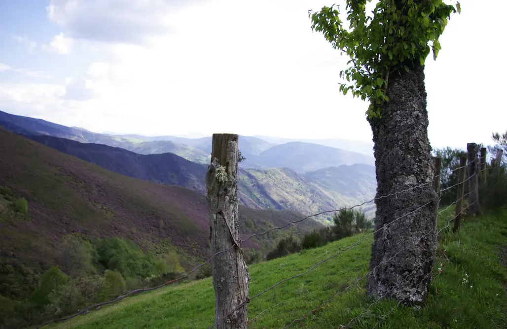 AlohaCamp Cabaña Josefina  1