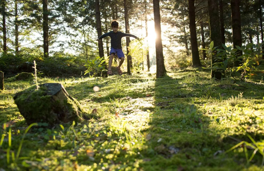 Hébergement AlohaCamp Domaine Spalazen Nature 4