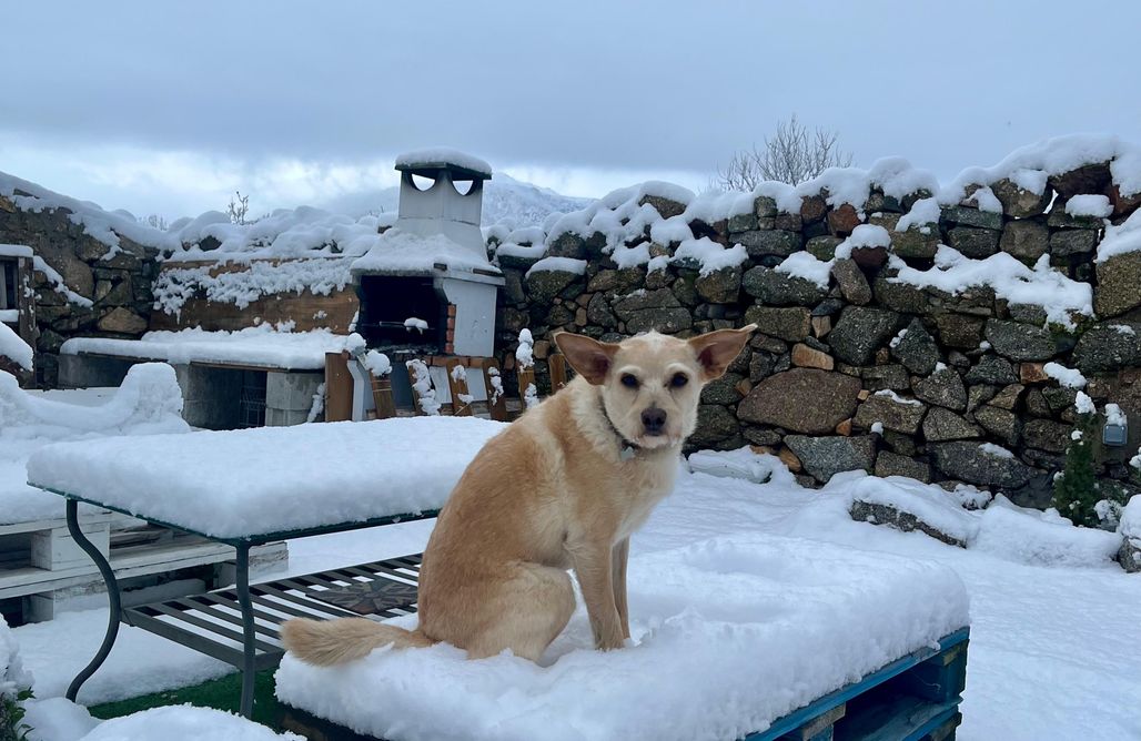 ubytování AlohaCamp Maderavieja Nature&Relax 1