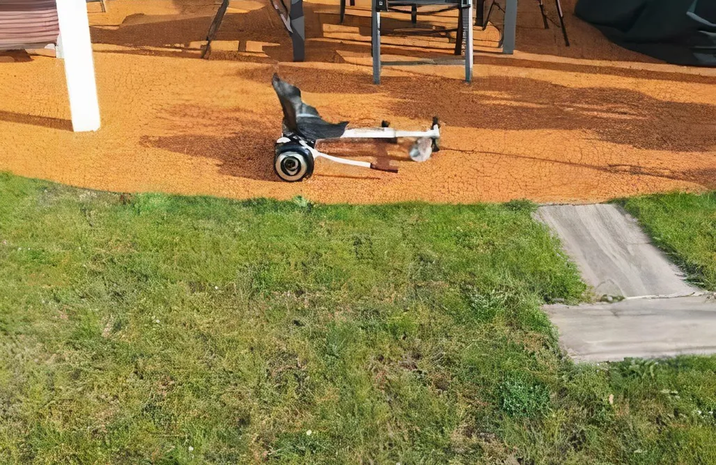 alojamientos AlohaCamp Birkenwäldchen 4