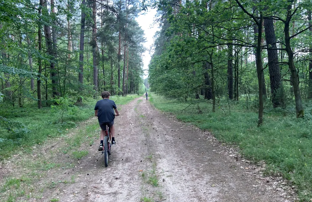 Andrzejewo noclegi Czerwony Domek między drzewami 1
