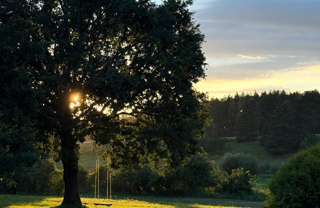 AlohaCamp Horyzont Zdarzeń 1