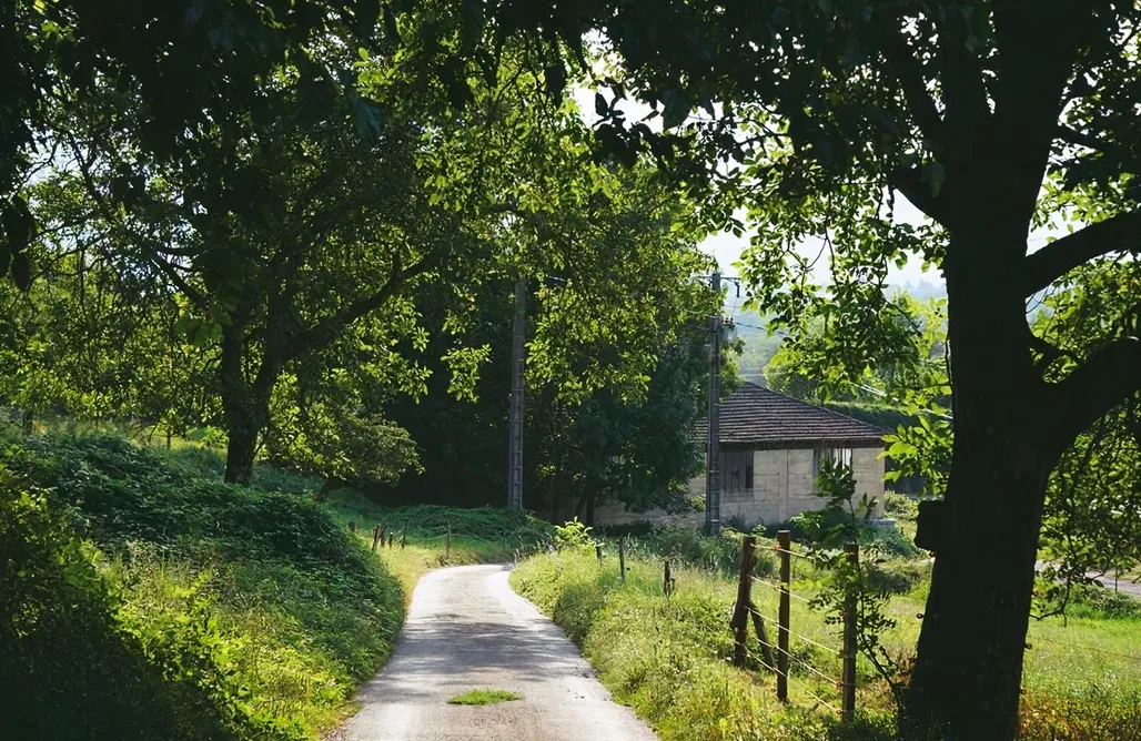 Les deux sources AlohaCamp