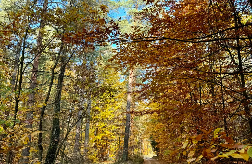 noclegi AlohaCamp Klimaty Mazur 1