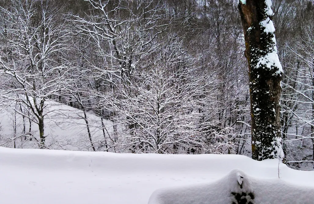 Hoteles Rurales en Cantabria Lo Macario Cabaña Pasiega 3