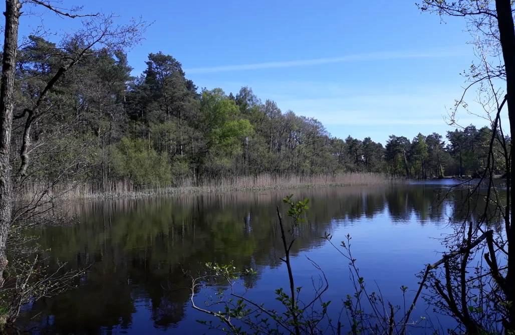 AlohaCamp accommodation Kubiczówka Jeziorna - całoroczne domki nad morzem 1