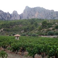 hdgsrdf host Torre de Arriba Casa Rural