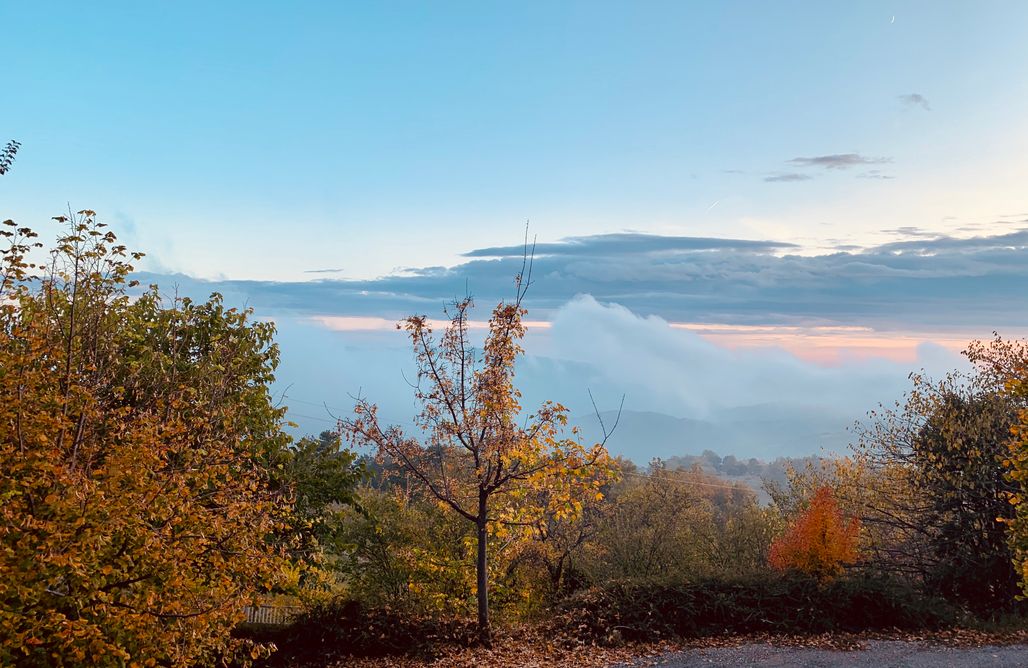 Majorka Last Minute Masia Grevoler 1