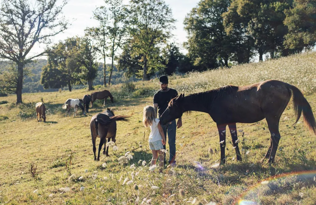 Yourte au coeur des chevaux AlohaCamp