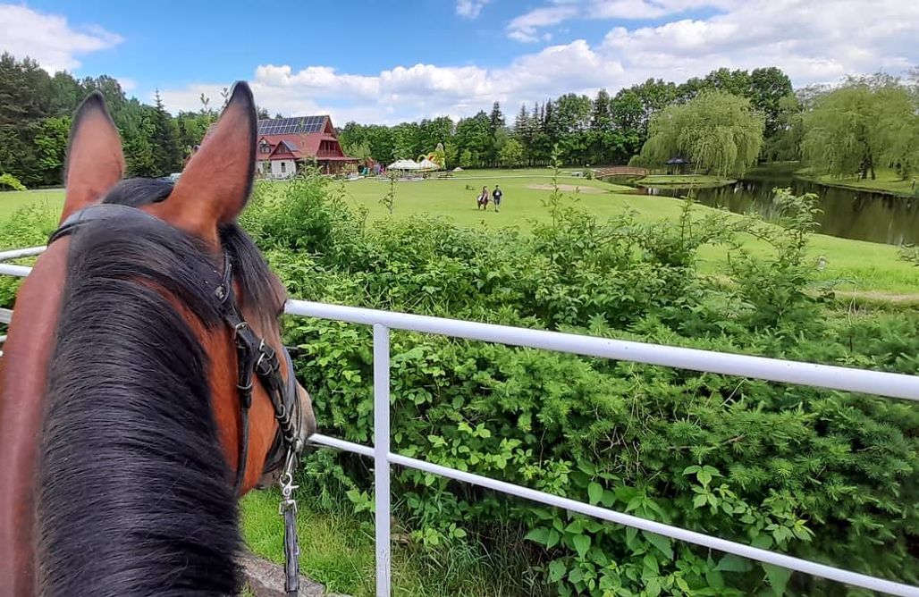 Pole namiotowe podkarpacie Miejsce kamperowe i namiotowe - Stadnina Pod Lasem 3