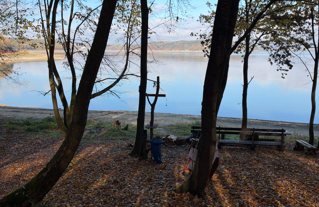 Hébergement AlohaCamp Rogaty Dworek - chalet avec cheminée et sauna 1