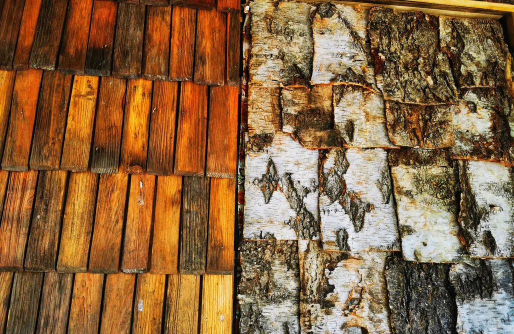 AlohaCamp Maloka - Zaczarowany Las 2