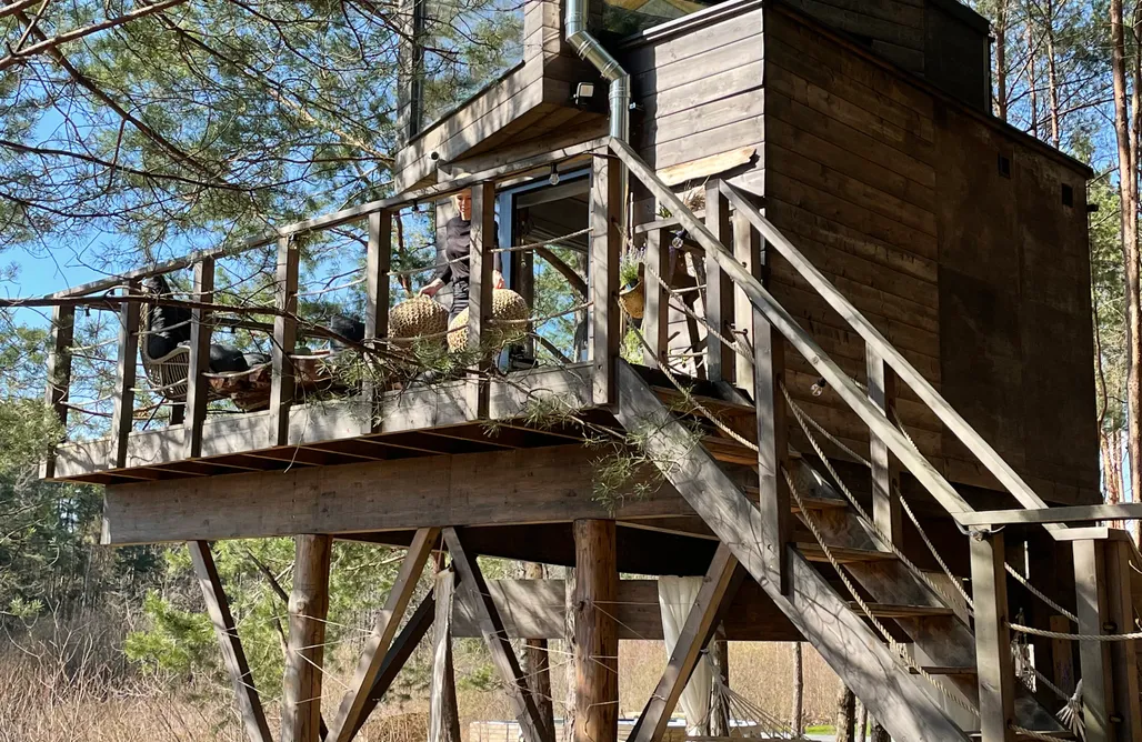 AlohaCamp Tree Home Villa 2