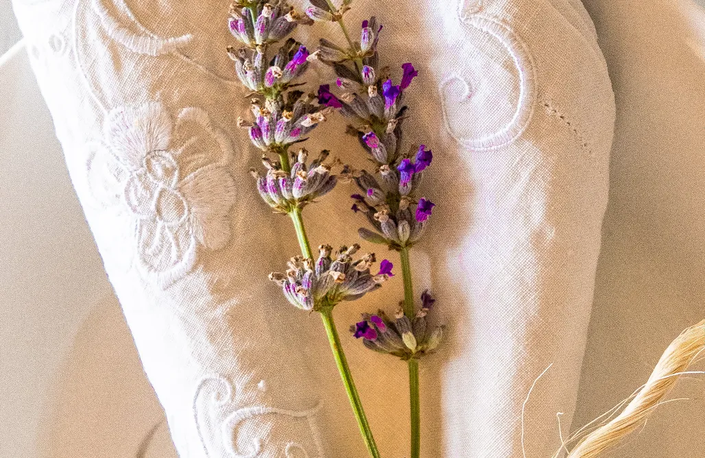 alojamientos AlohaCamp Villa Enri 4