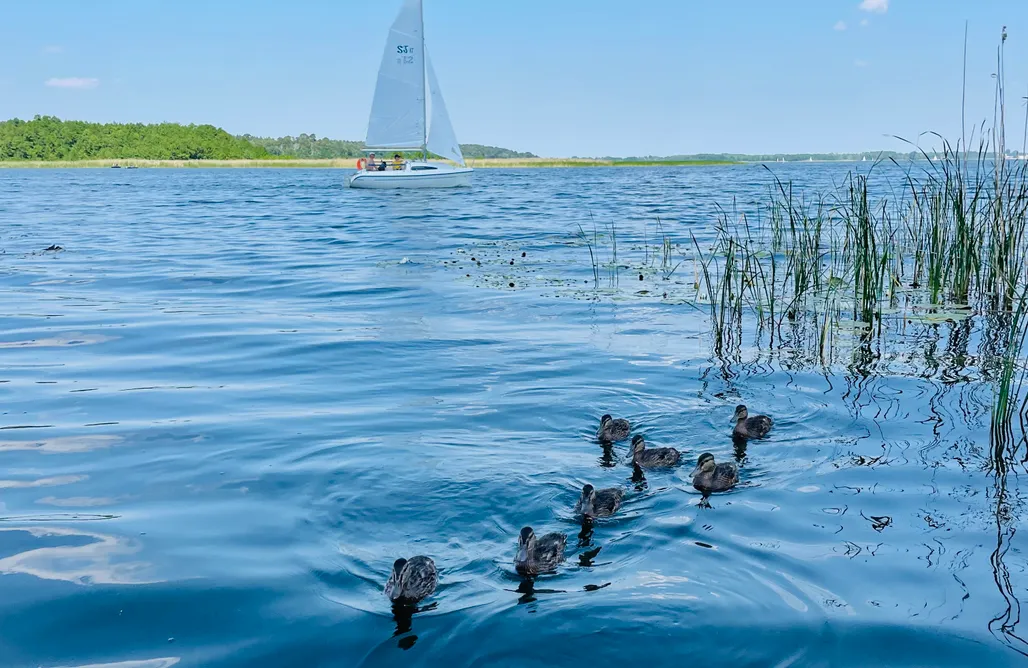 noclegi AlohaCamp Domek holenderski Hampton  1