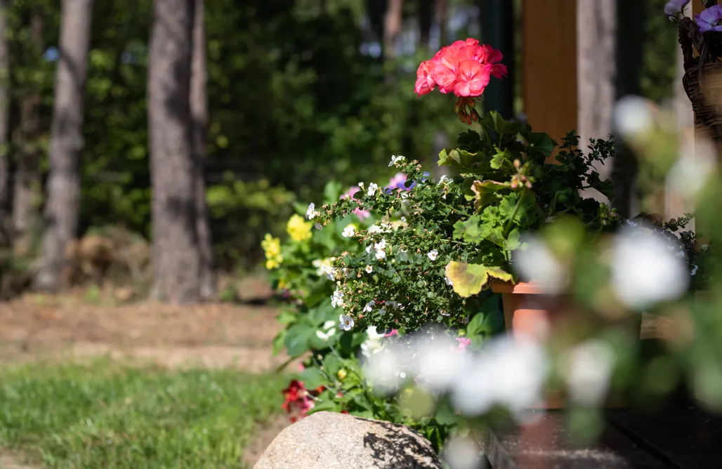 AlohaCamp Leśna 21 - Dom Południe 1