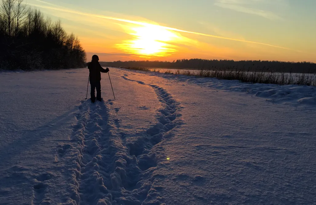 Alloggi AlohaCamp Zagroda Kuwasy 5