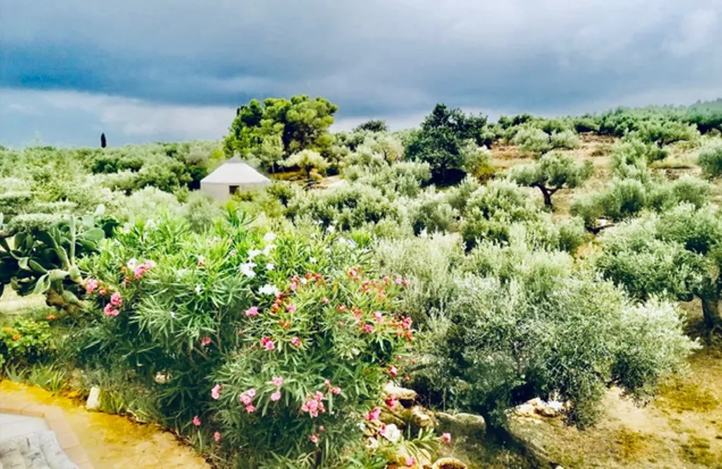 AlohaCamp Yurta Mongola 1