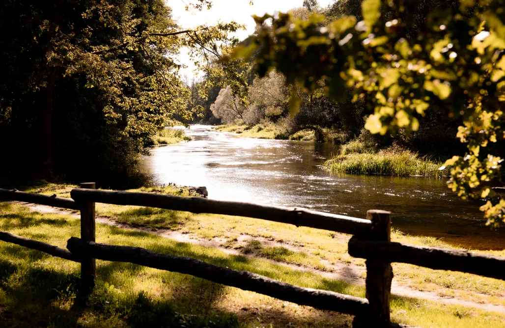 Wood Land Liswarta domki w koronach drzew AlohaCamp